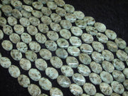 Kiwi Jasper